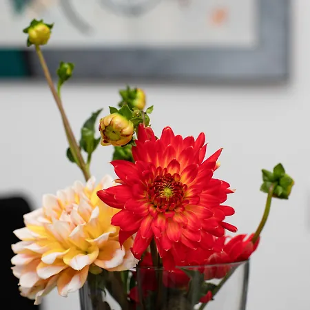 Zur Davert 3* مونستر