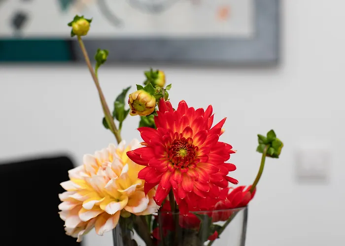 Zur Davert 3* Мюнстер